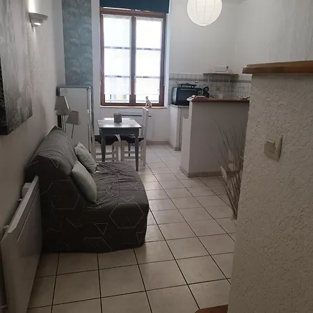 Grand Studio Meuble Chez Coco Romans-sur-Isere Exterior photo