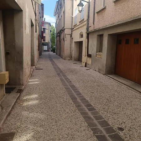 Grand Studio Meuble Chez Coco Romans-sur-Isere Exterior photo